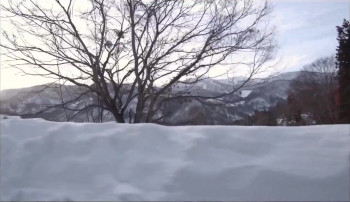 The Zen Diary (2022) download