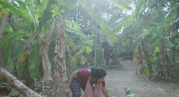 Theatre: The Myth of Reality (2025) download