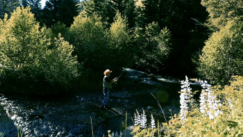 Third Eye Spies (2019) download