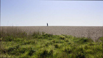 Thomas Hardy: Fate, Exclusion & Tragedy (2021) download