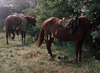 Thomas Müntzer (1956) download