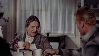 Track of the Cat (1954) download