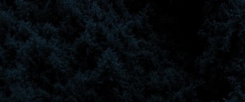 Trading Paint (2019) download