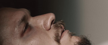 Transient (2024) download