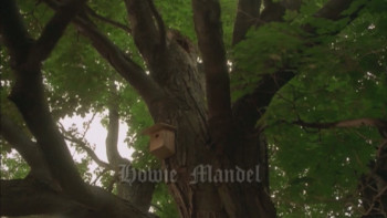 Tribulation (2000) download