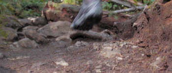 Ultra Low (2018) download