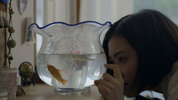 Umibe no kingyo (2021) download