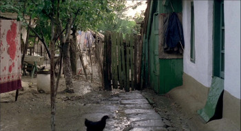 Umilinta (2011) download