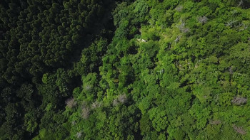 Uncovering Fukushima (2022) download