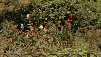 Ungentle (2023) download