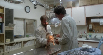 Uninvited (1987) download
