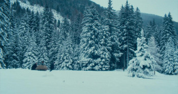 Vermiglio (2024) download