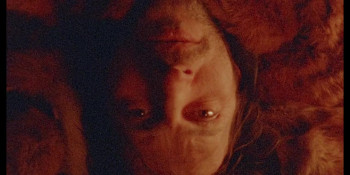 Videotheque (2024) download