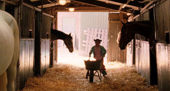 Waar is het paard van Sinterklaas? (2007) download