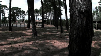 Westall '66: A Suburban UFO Mystery (2010) download