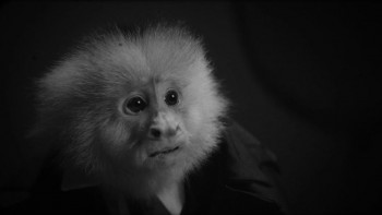 What Did Jack Do? (2017) download