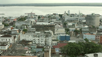 Where Is the Jungle? (2015) download