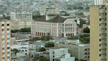 Where Is the Jungle? (2015) download