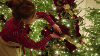 White House Christmas 2025 (2025) download