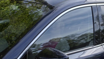 Wickensburg (2022) download