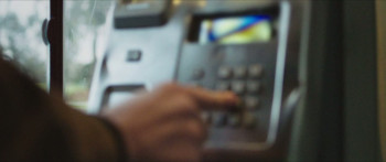 Wild Butterfly (2019) download