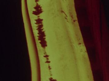 Winter Solstice (1974) download