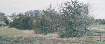 Winterset (2025) download