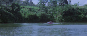 Wolf (1981) download