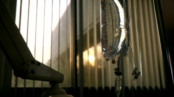 Wolvesbayne (2009) download