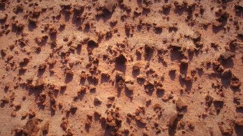 Women on Mars (2024) download