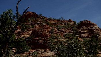 Wyatt Earp and Bass Reeves (2023) download