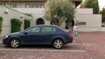 Year of the Dog (2007) download