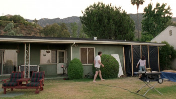 Year of the Dog (2007) download