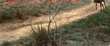 Yi dai jian wang (1968) download